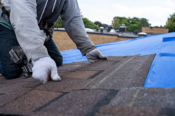 Best Best Roofing Contractors  in Trophy Clu, TX