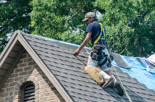 Best Commercial Roofing Services  in Trophy Clu, TX